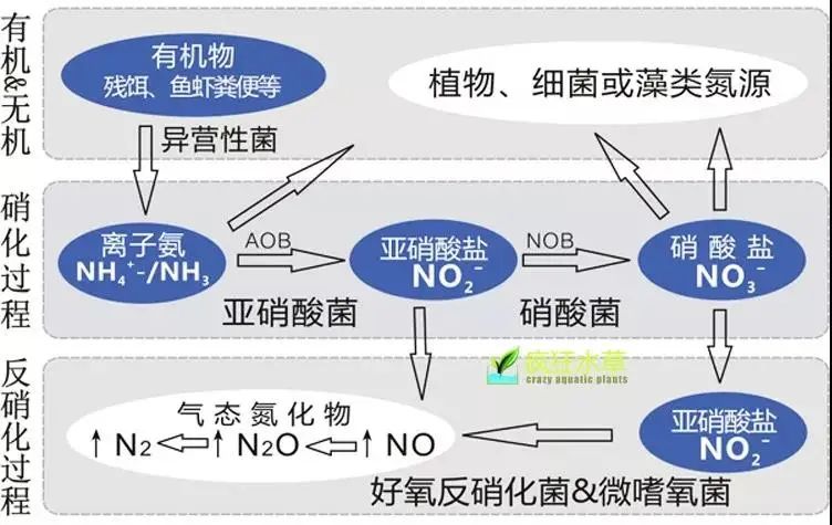 面對(duì)低濃度氨氮工業(yè)廢水束手無策?這幾種方法可以解決- 面對(duì)低濃度氨氮工業(yè)廢水束手無策?這幾種方法可以解決-