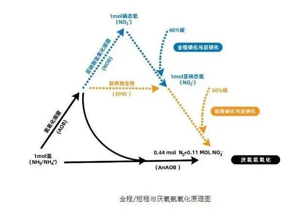 面對(duì)低濃度氨氮工業(yè)廢水束手無策?這幾種方法可以解決- 面對(duì)低濃度氨氮工業(yè)廢水束手無策?這幾種方法可以解決-